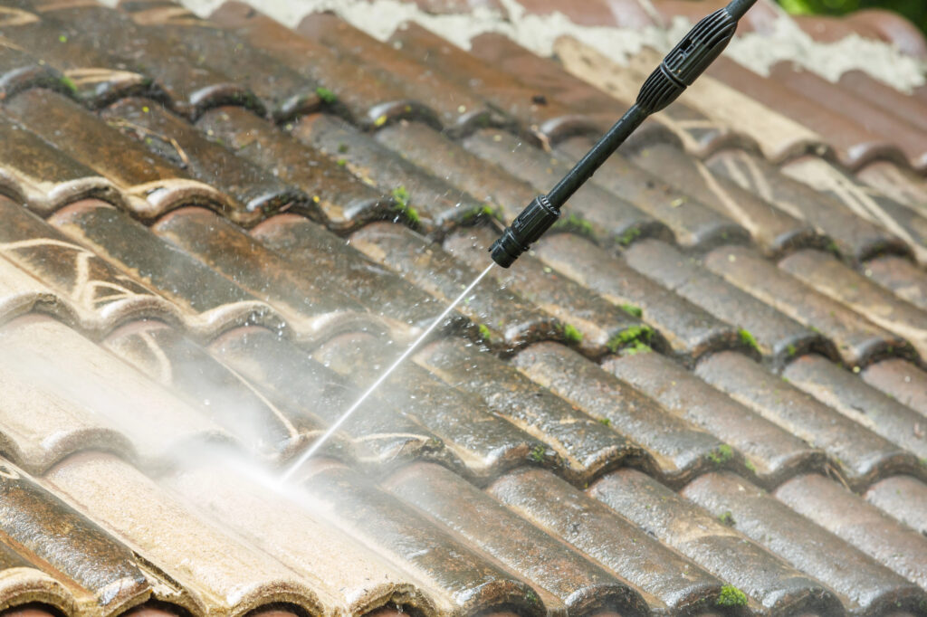 5 Benefits of Professional Roof Cleaning